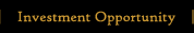 Investment Opportunity